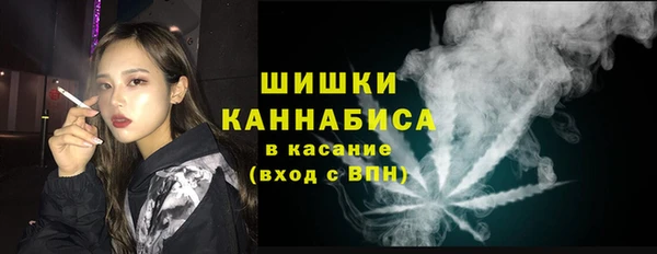 шишки Алзамай