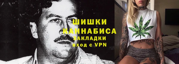 шишки Алзамай