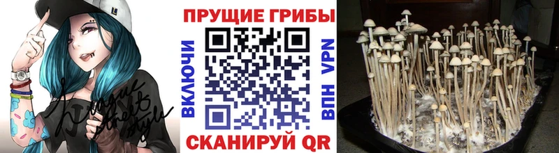 Галлюциногенные грибы Magic Shrooms  Сасово 